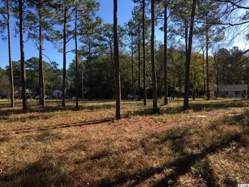 Lot 8 Beaty Street Georgetown, SC 29440 - Photo 3 of 14 Gallery Image 3