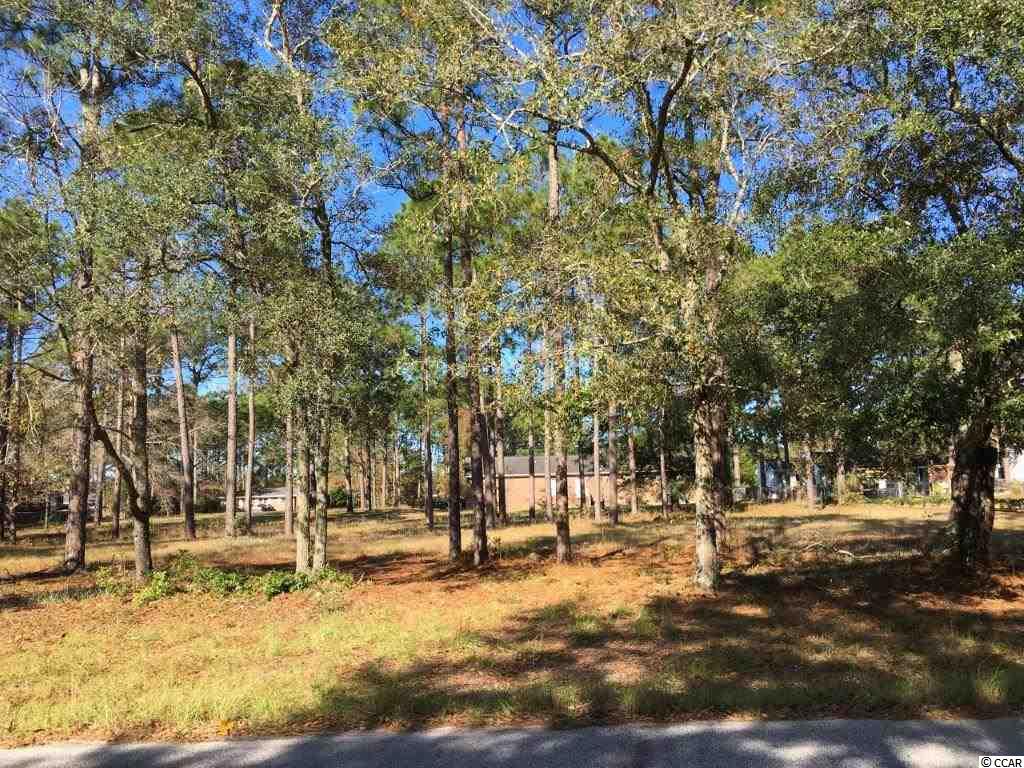 Lot 8 Beaty Street Georgetown, SC 29440 - Photo 5 of 14 Gallery Image 5