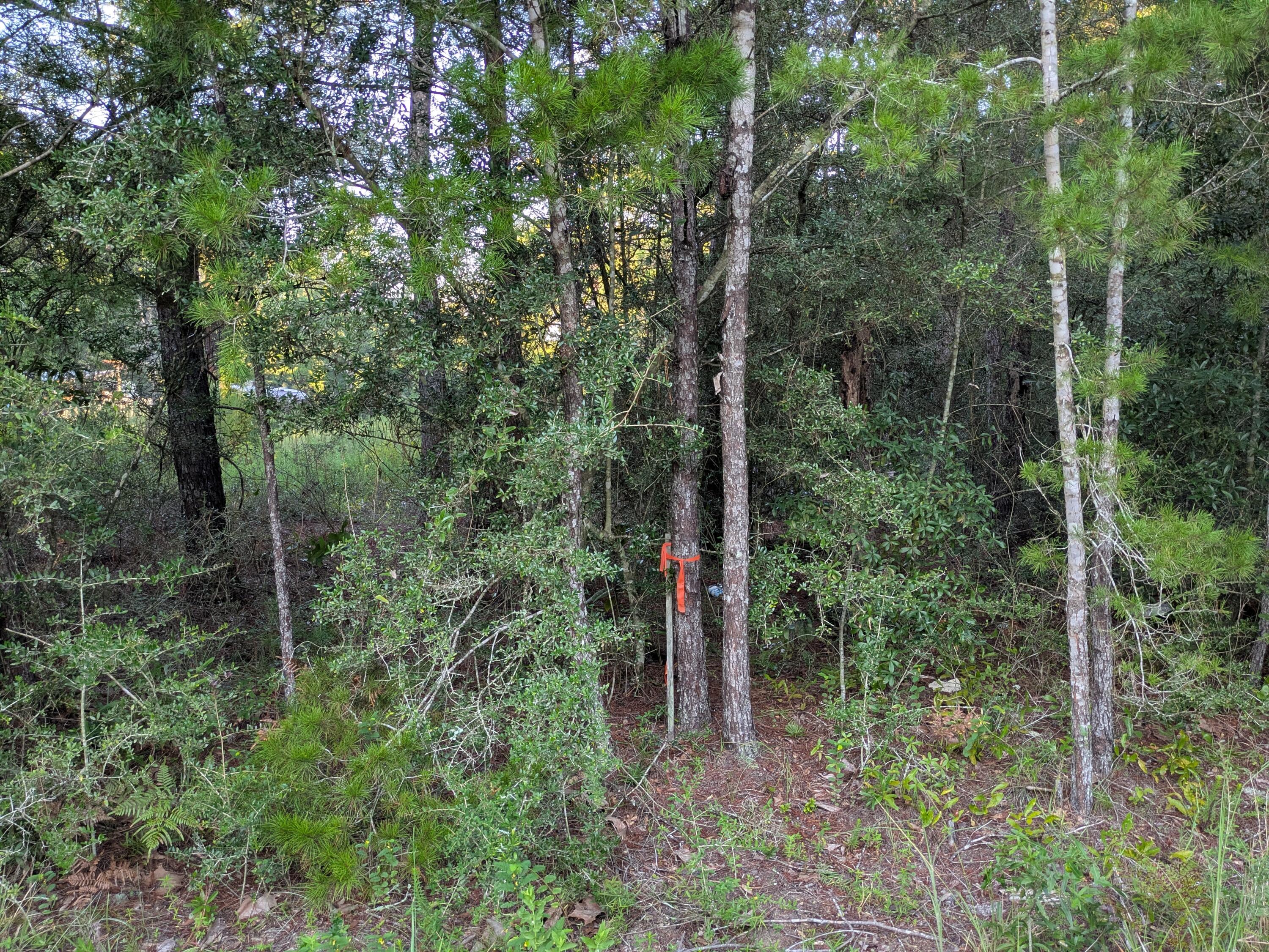 Lot 15 Girl Scout Road DeFuniak Springs, FL 32433 - Photo 4 of 5 Surveyed