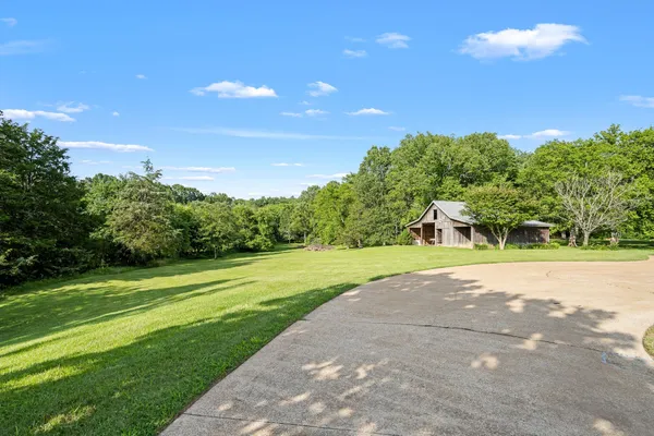 a big yard with lots of green space and trees