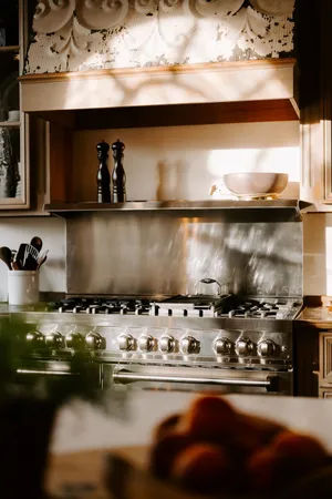 a view of living room with a potted plant