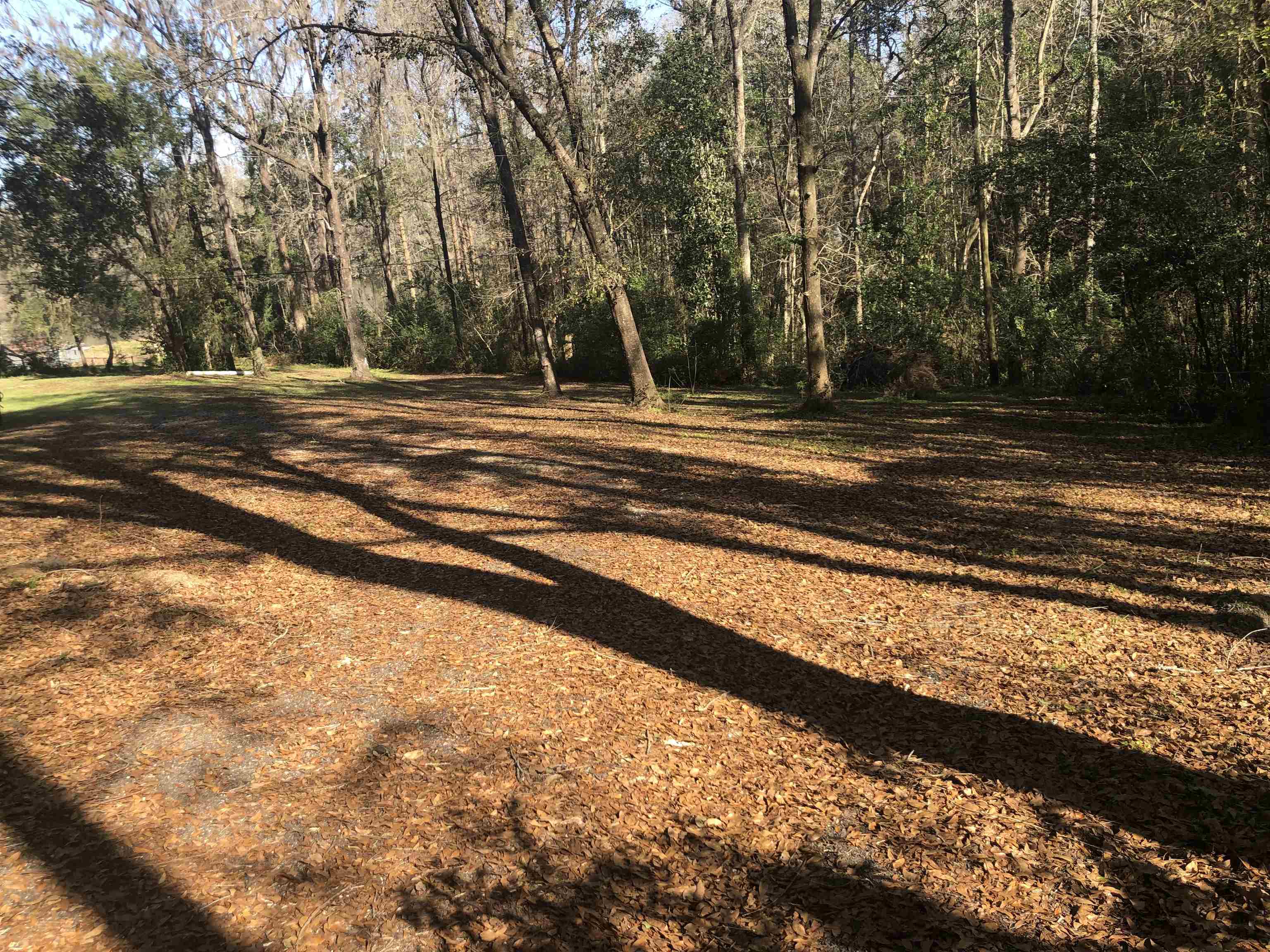 18055 Rakestraw Drive Tallahassee, FL 32310 - Photo 2 of 5