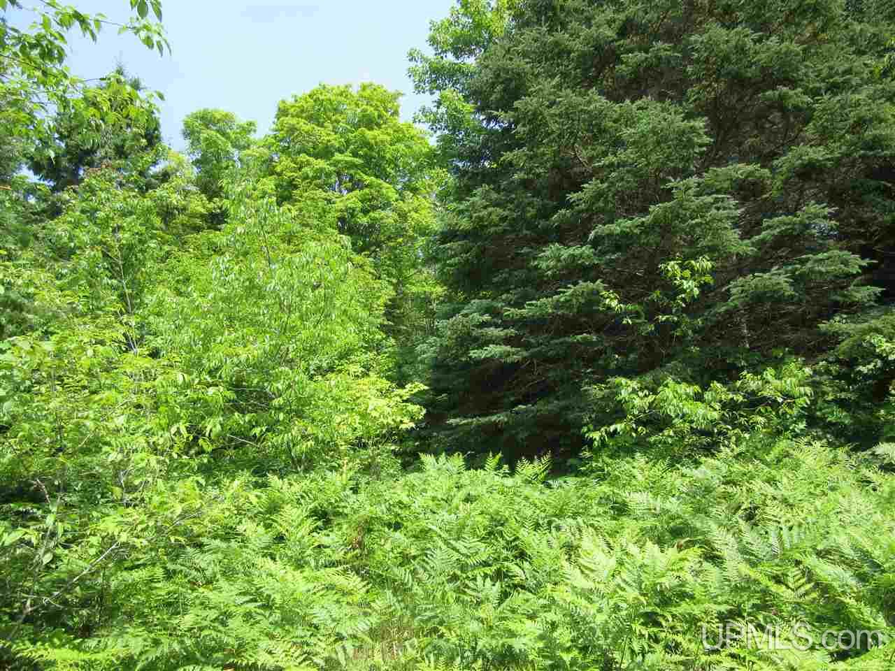 Tbd East Edge Road Germfask, MI 49836 - Photo 16 of 16 Gallery Image 16