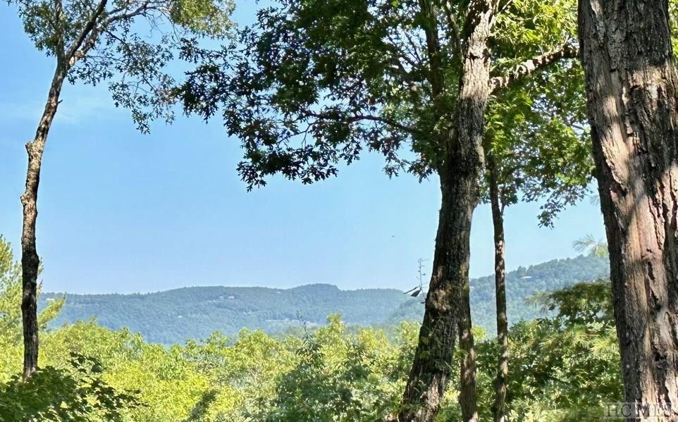 428 Deer Run Road Sapphire, NC 28774 - Photo 13 of 59 Gallery Image 13