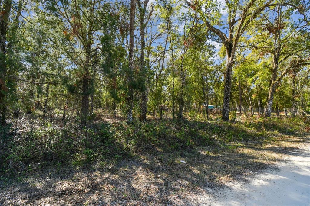 Mckethan Road Dade City, FL 33523 - Photo 25 of 33