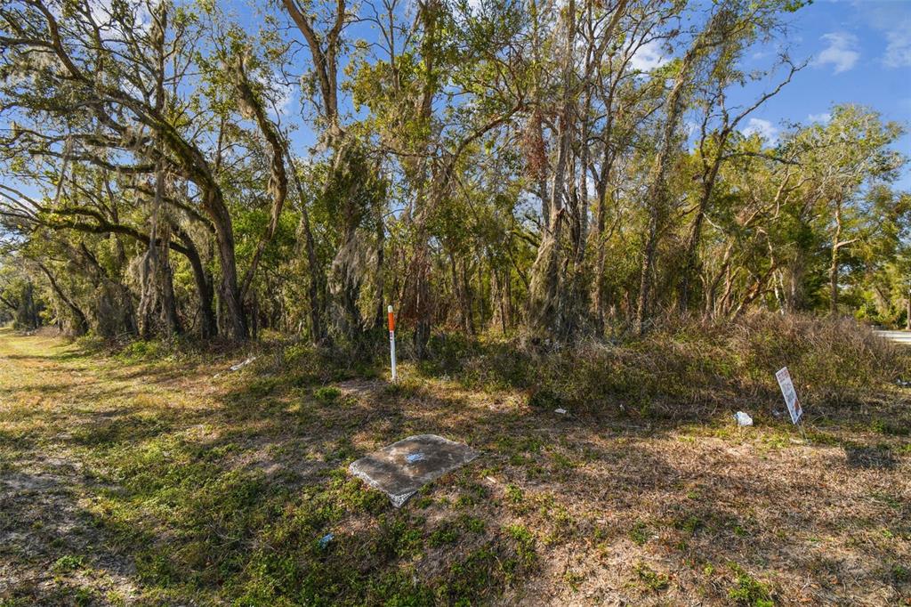 Mckethan Road Dade City, FL 33523 - Photo 29 of 33