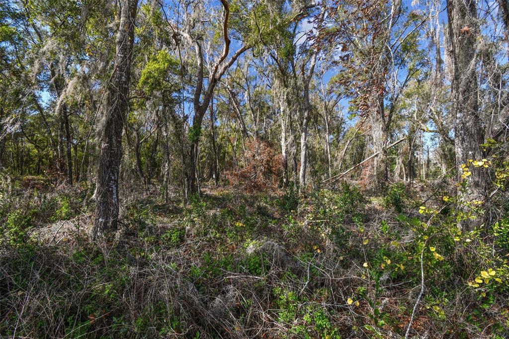 Mckethan Road Dade City, FL 33523 - Photo 32 of 33