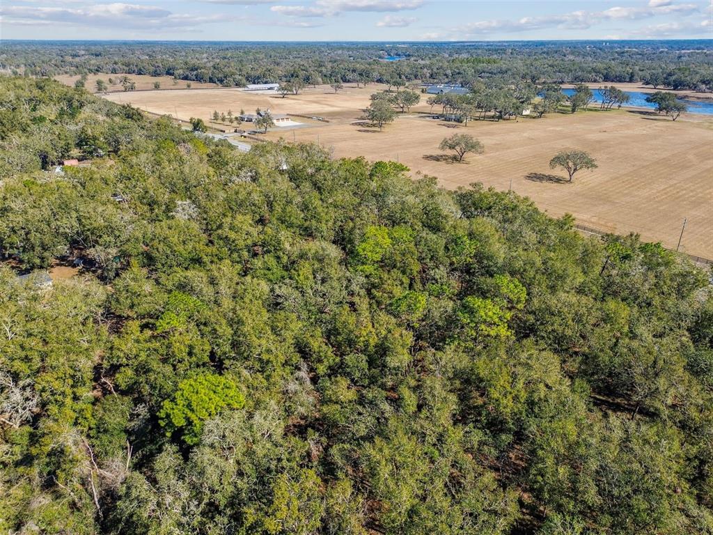 Mckethan Road Dade City, FL 33523 - Photo 4 of 33