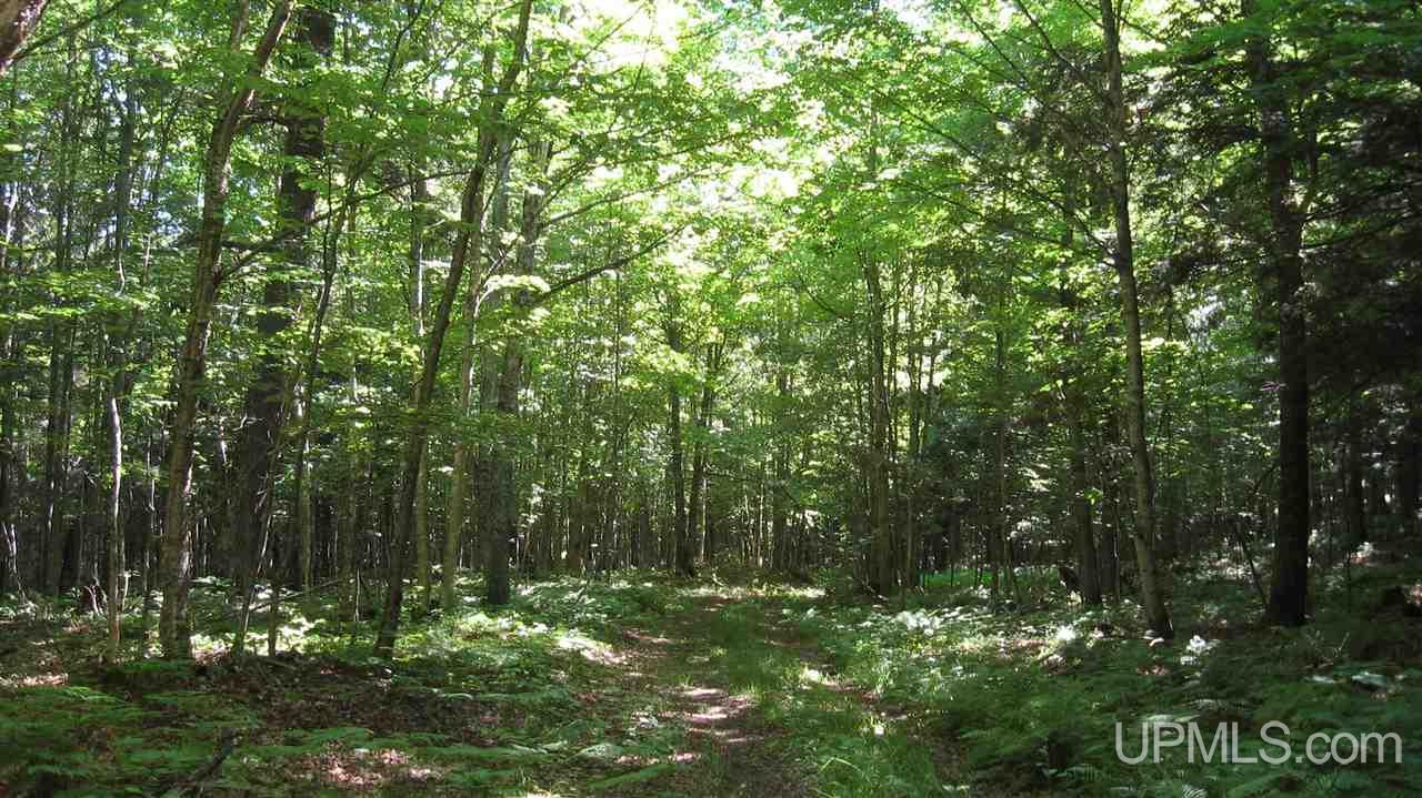 0 Big Bay Road Negaunee, MI 49866 - Photo 13 of 13
