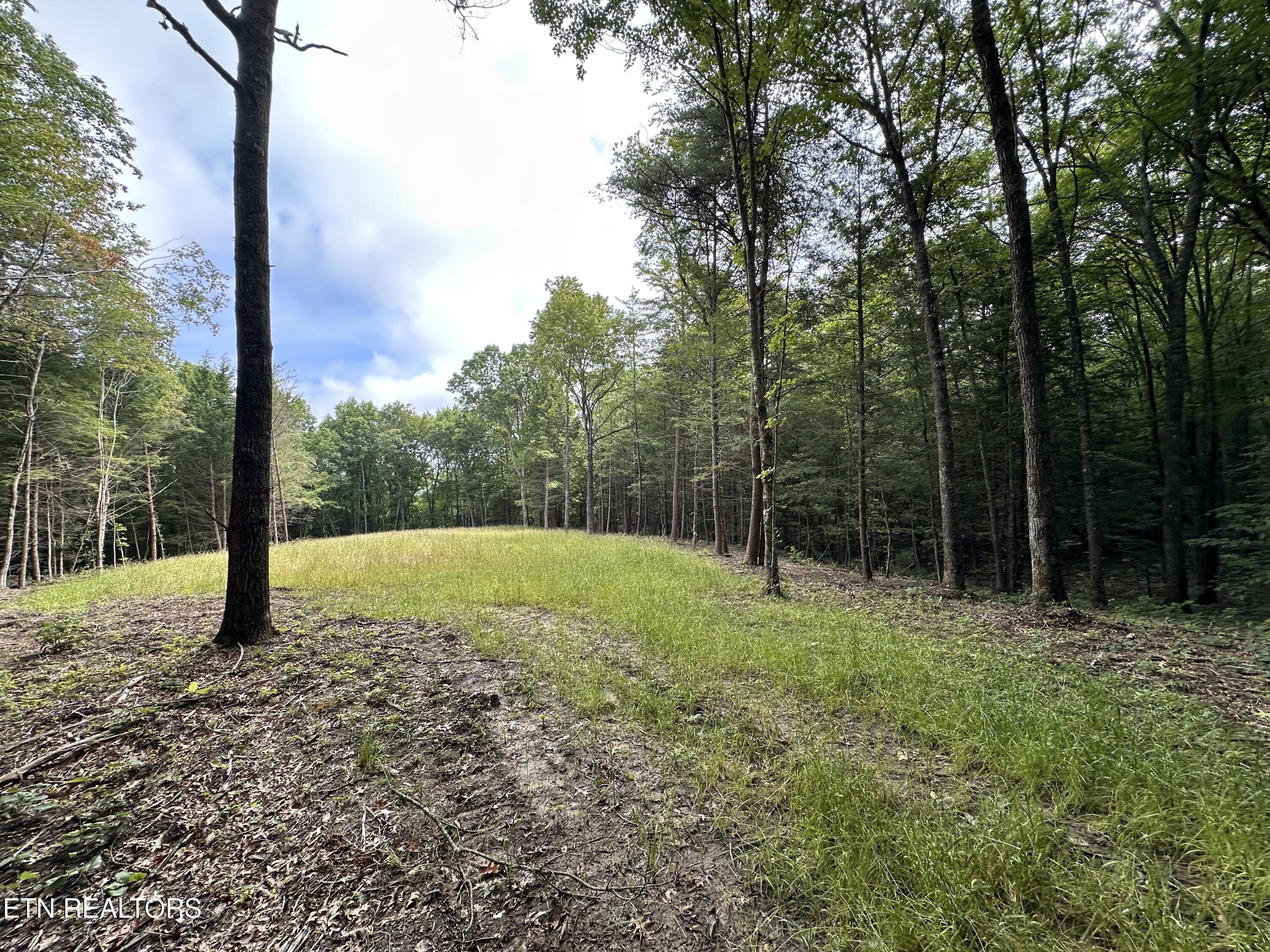 89.5-ac Mose Beaty Road Jamestown, TN 38556 - Photo 38 of 42 IMG_8963