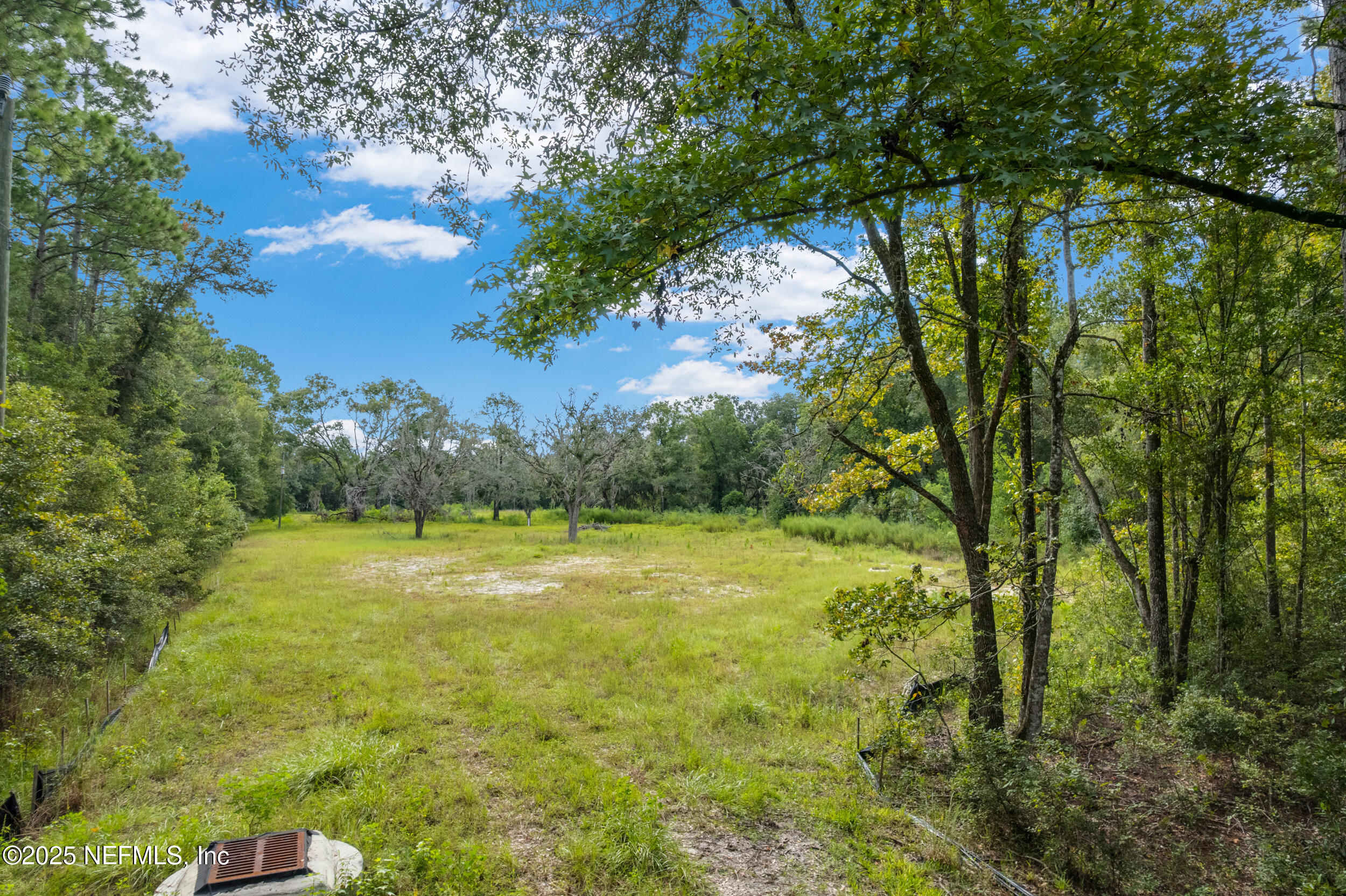 a view of a yard with a tree