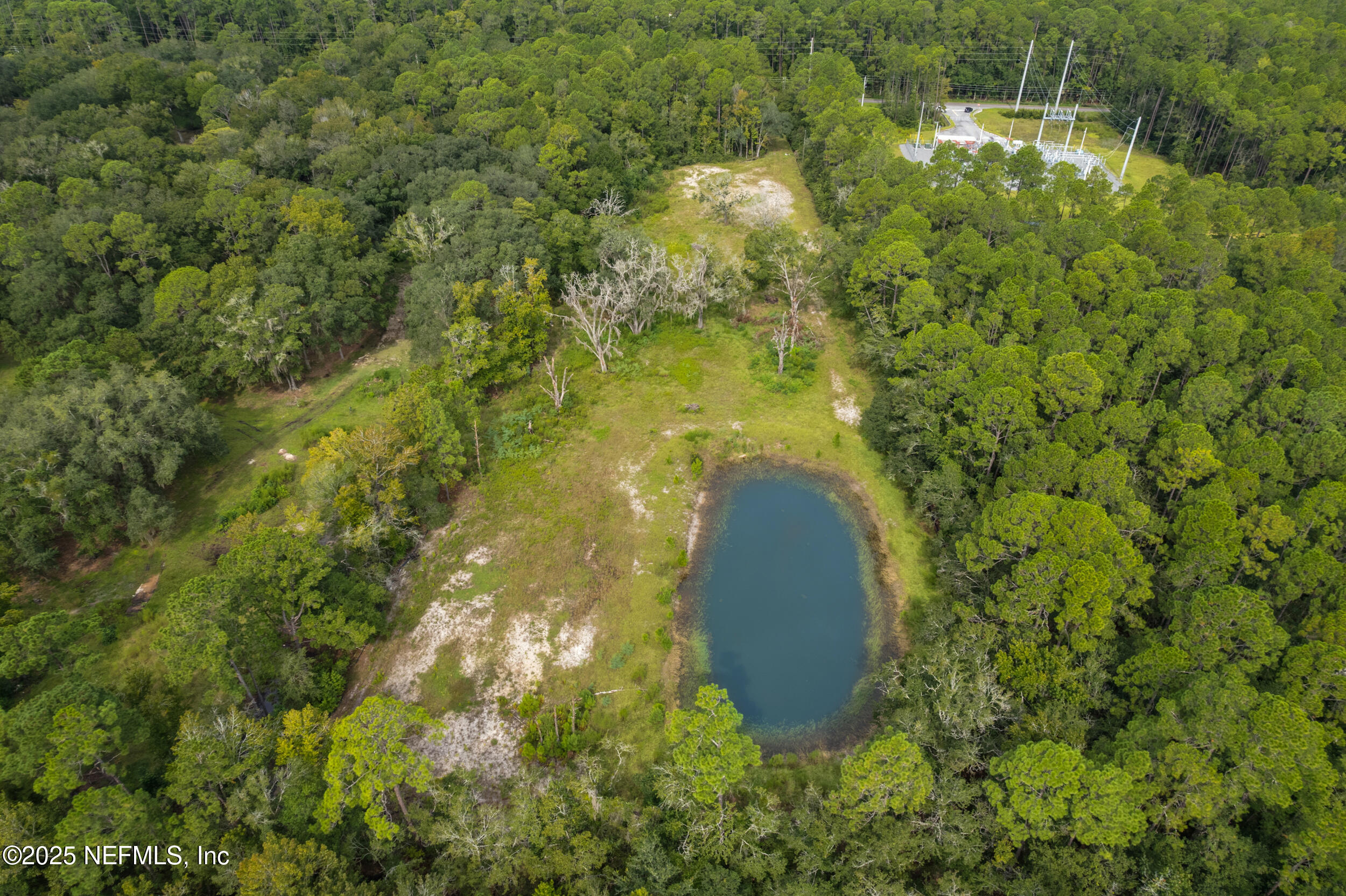 4600 North Francis Road St. Augustine, FL 32095 - Photo 11 of 15 a view of a garden