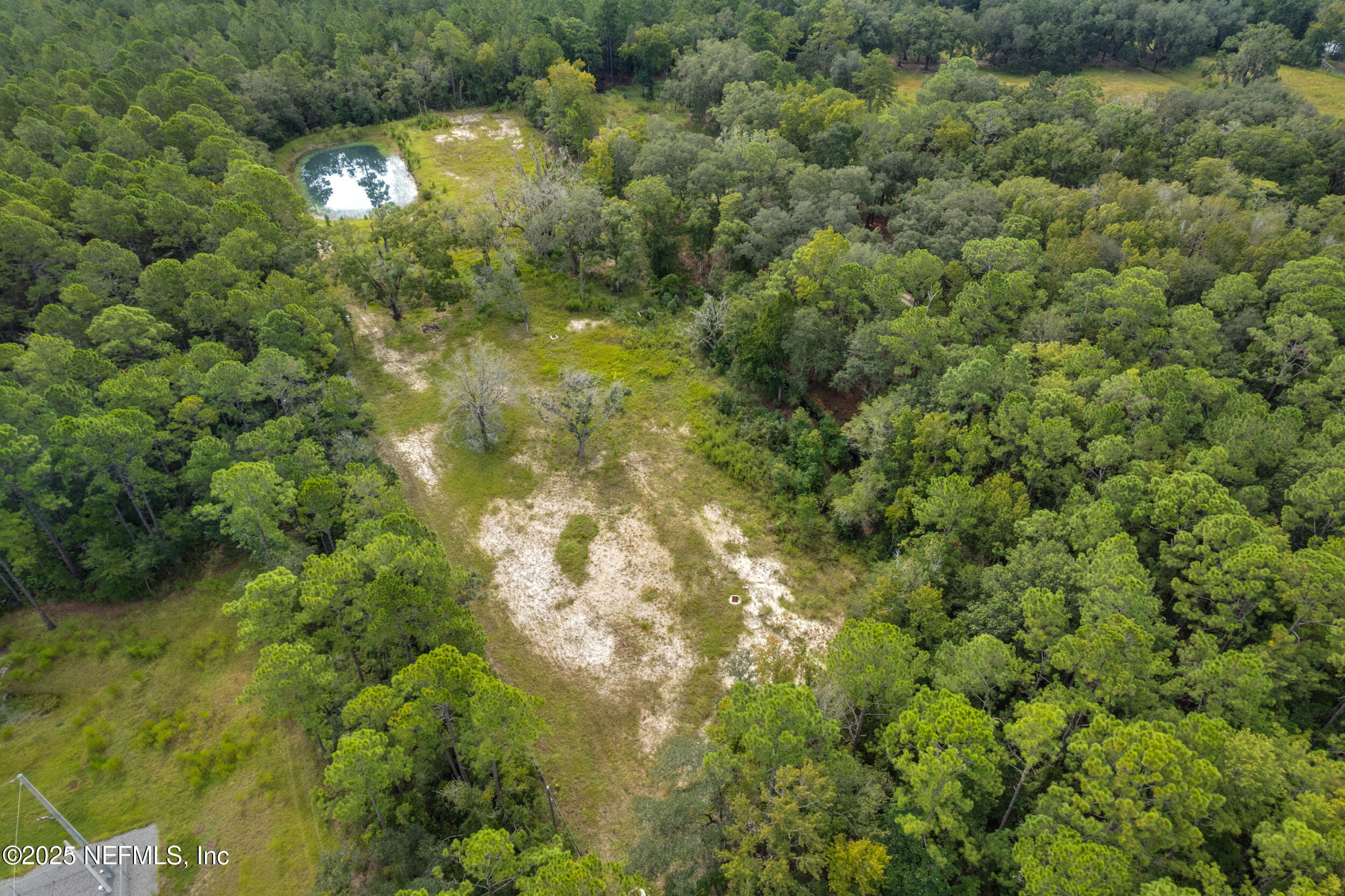 4600 North Francis Road St. Augustine, FL 32095 - Photo 13 of 15 a view of a tree in a yard