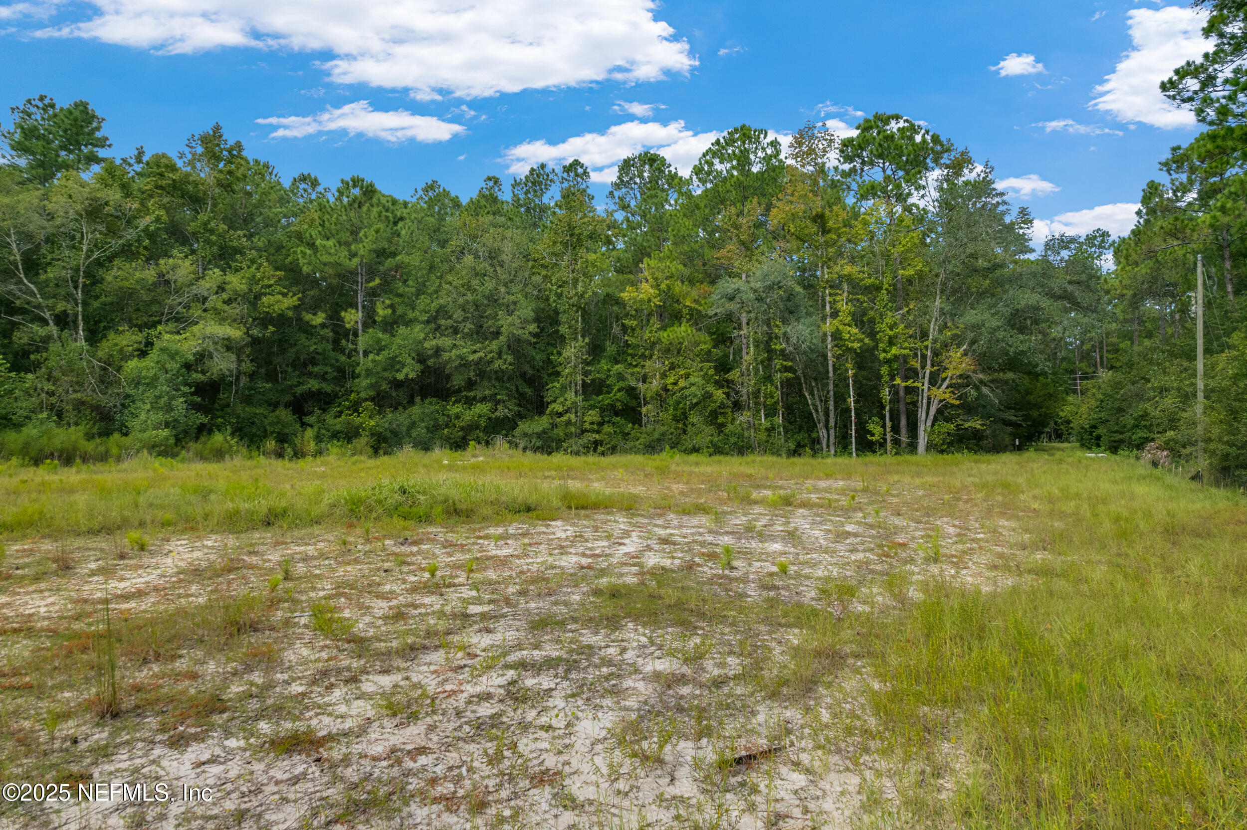 4600 North Francis Road St. Augustine, FL 32095 - Photo 14 of 15 a view of a field with an trees
