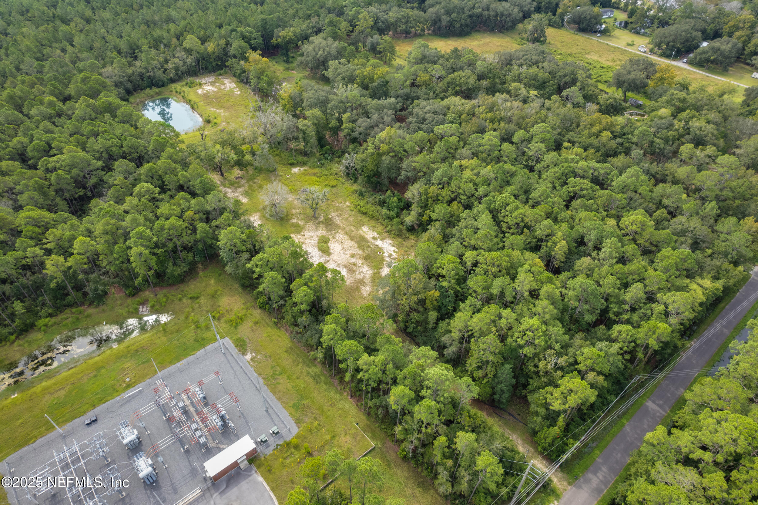4600 North Francis Road St. Augustine, FL 32095 - Photo 15 of 15 a view of a yard with a tree