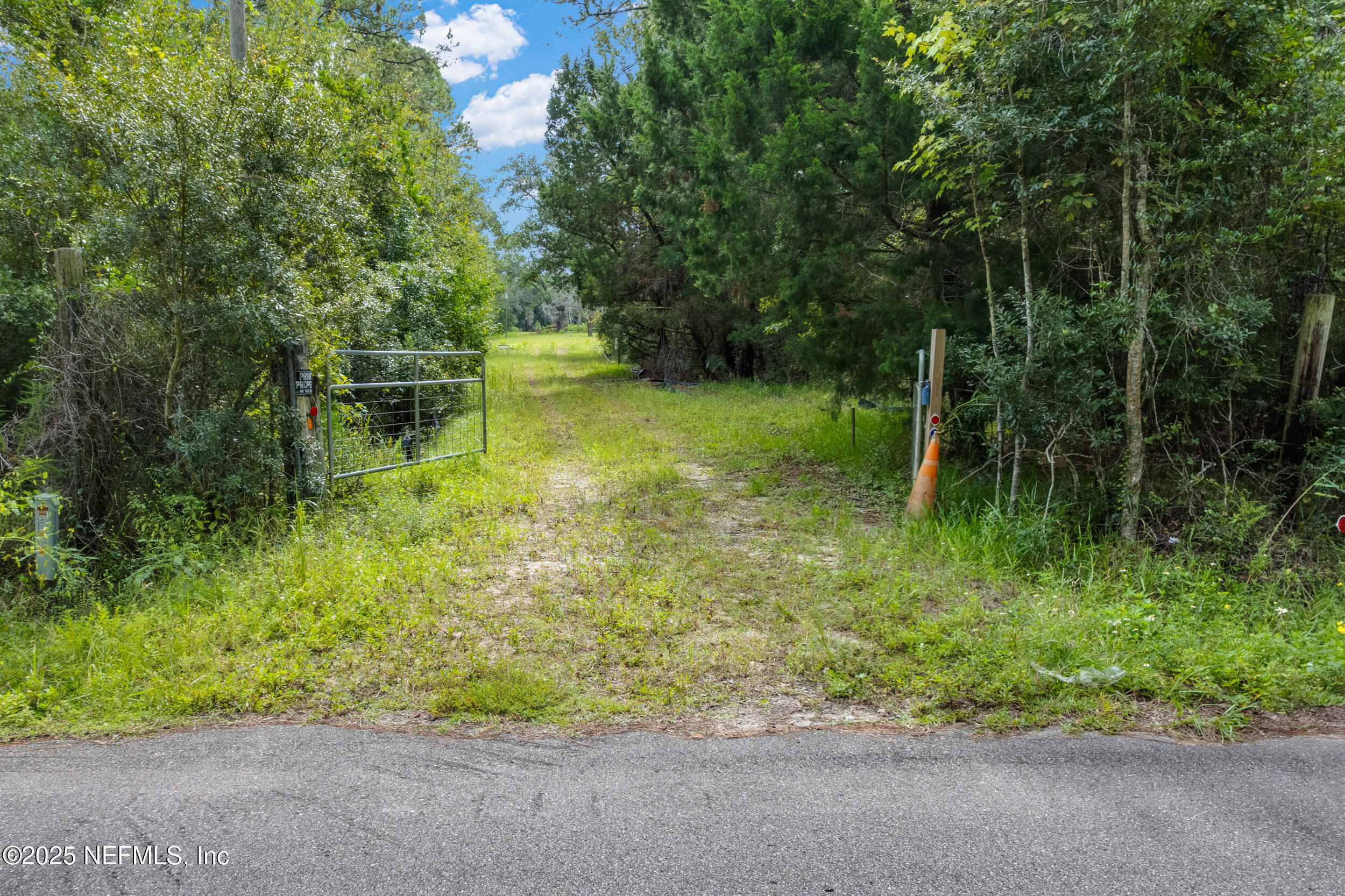 4600 North Francis Road St. Augustine, FL 32095 - Photo 5 of 15 a backyard of a house with lots of green space