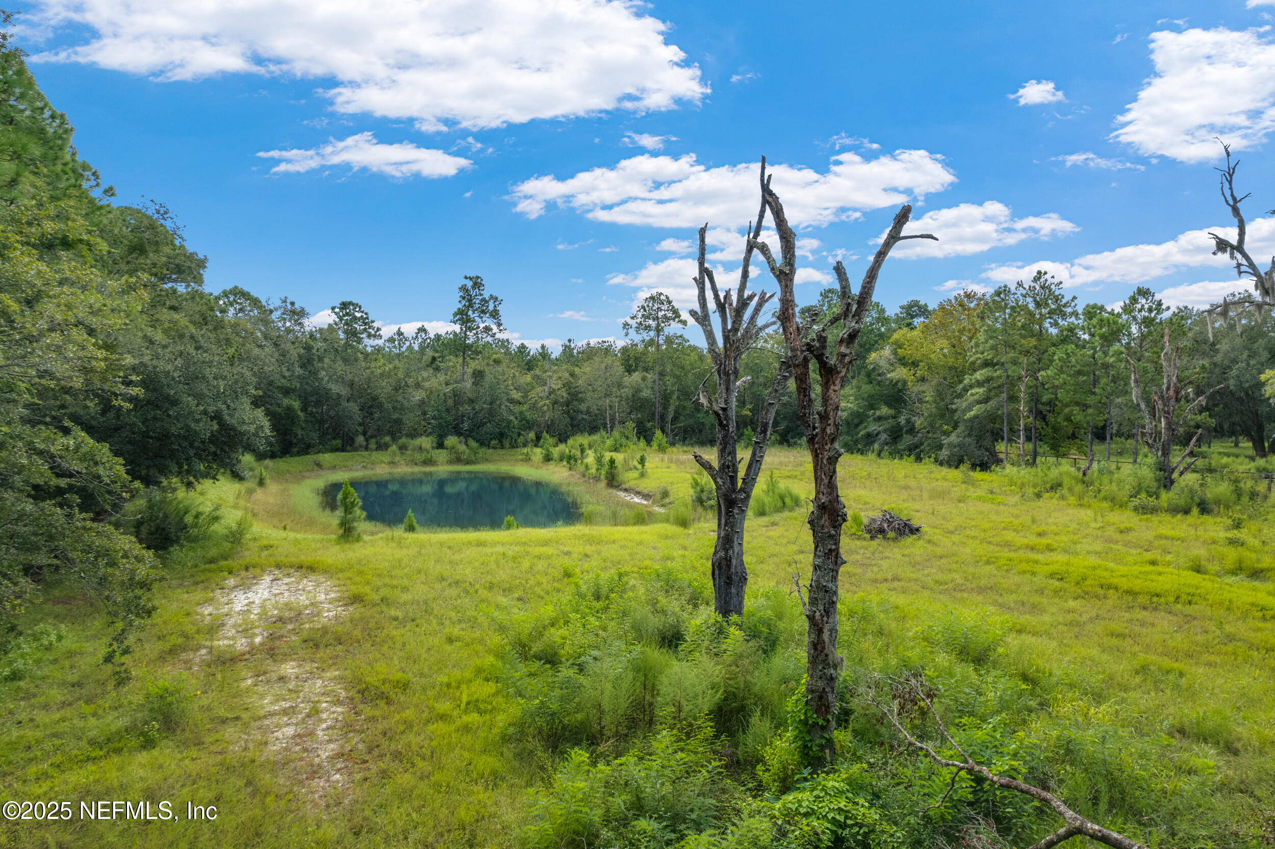4600 North Francis Road St. Augustine, FL 32095 - Photo 8 of 15 a view of swimming pool from a yard