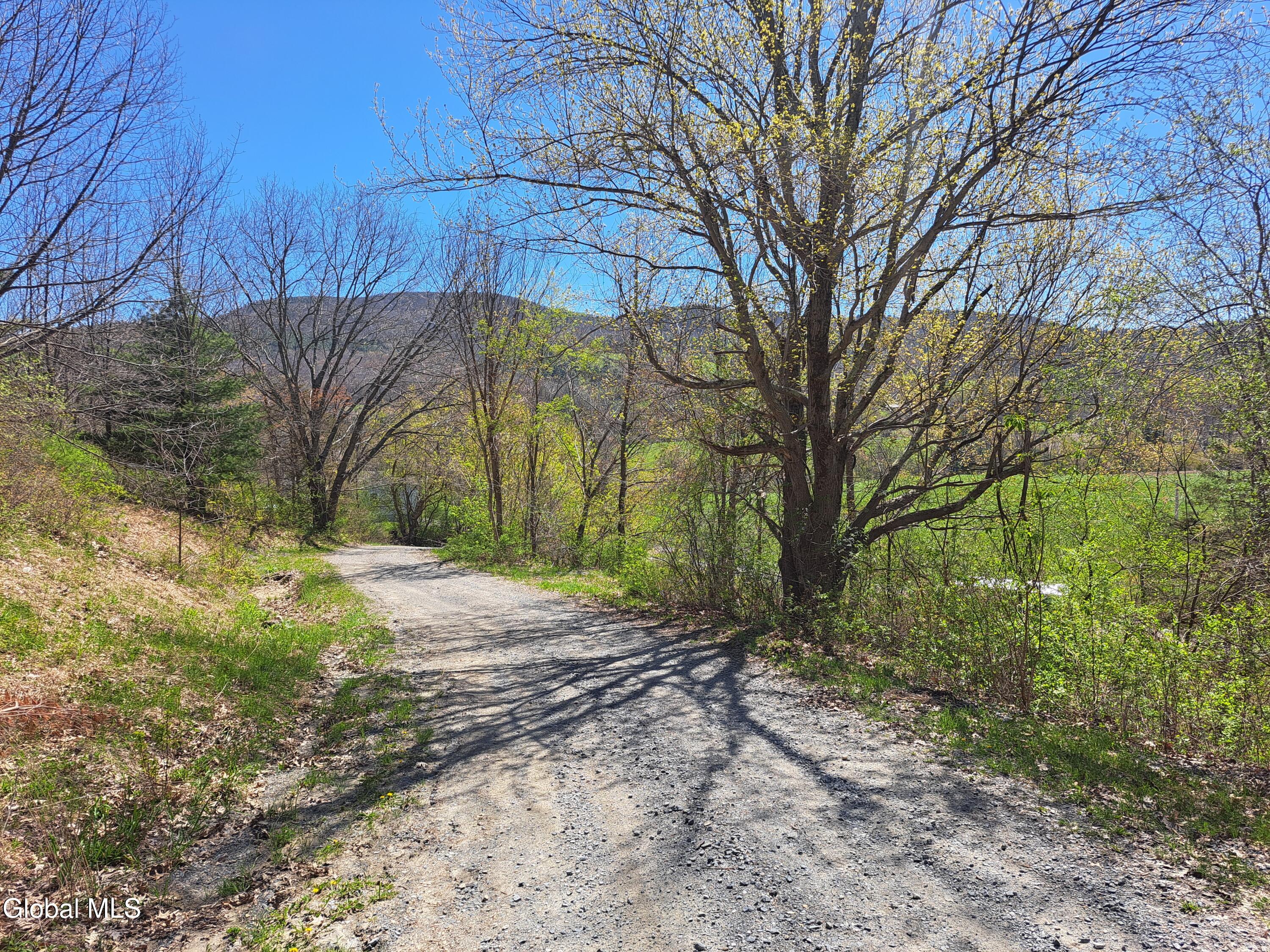 277 Breese Hollow Road Hoosick, NY 12089 - Photo 38 of 52 38 Gravel Driveway