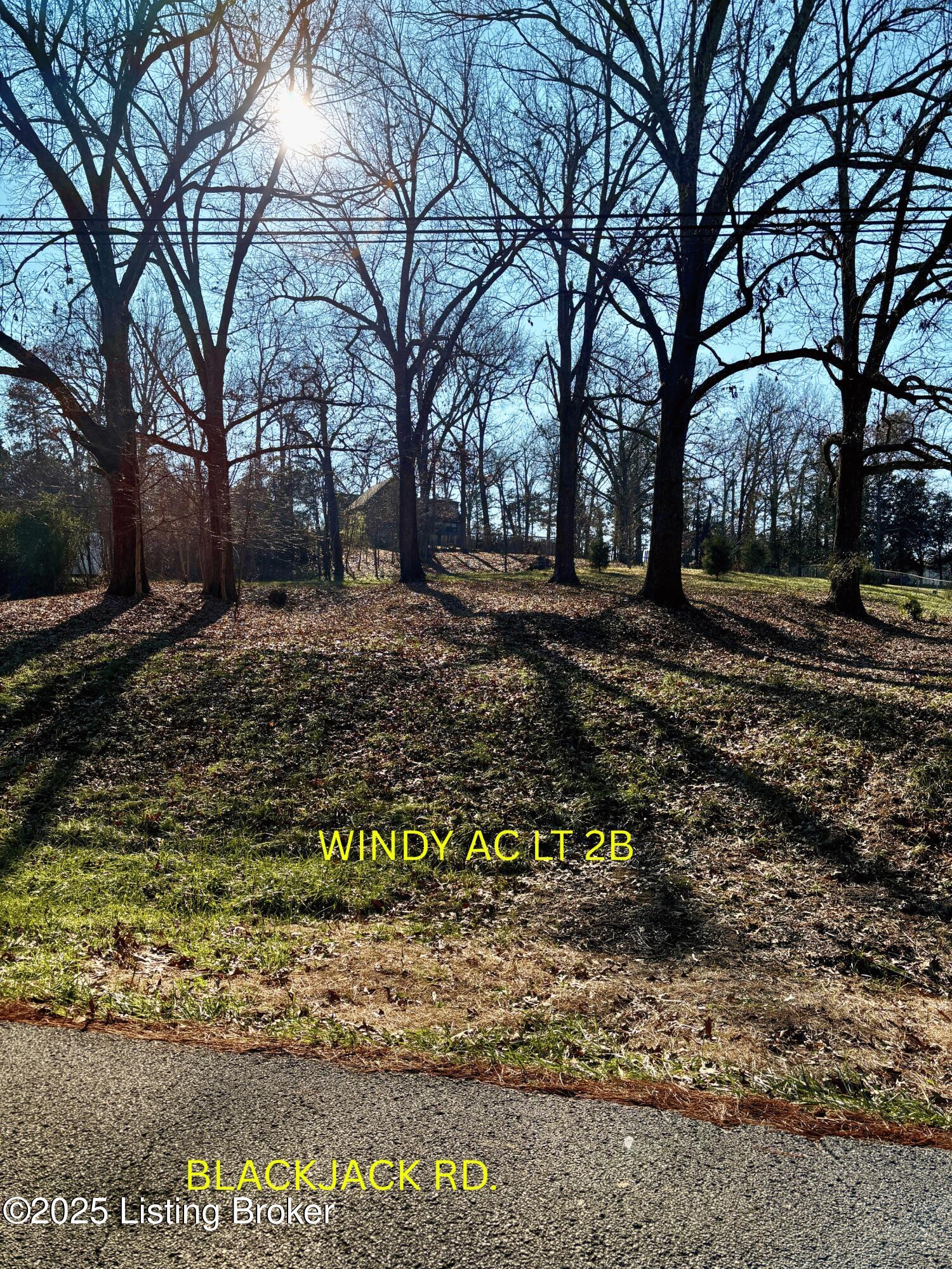 0 Blackjack Road Radcliff, KY 40160 - Photo 1 of 5 Untitled design (1)