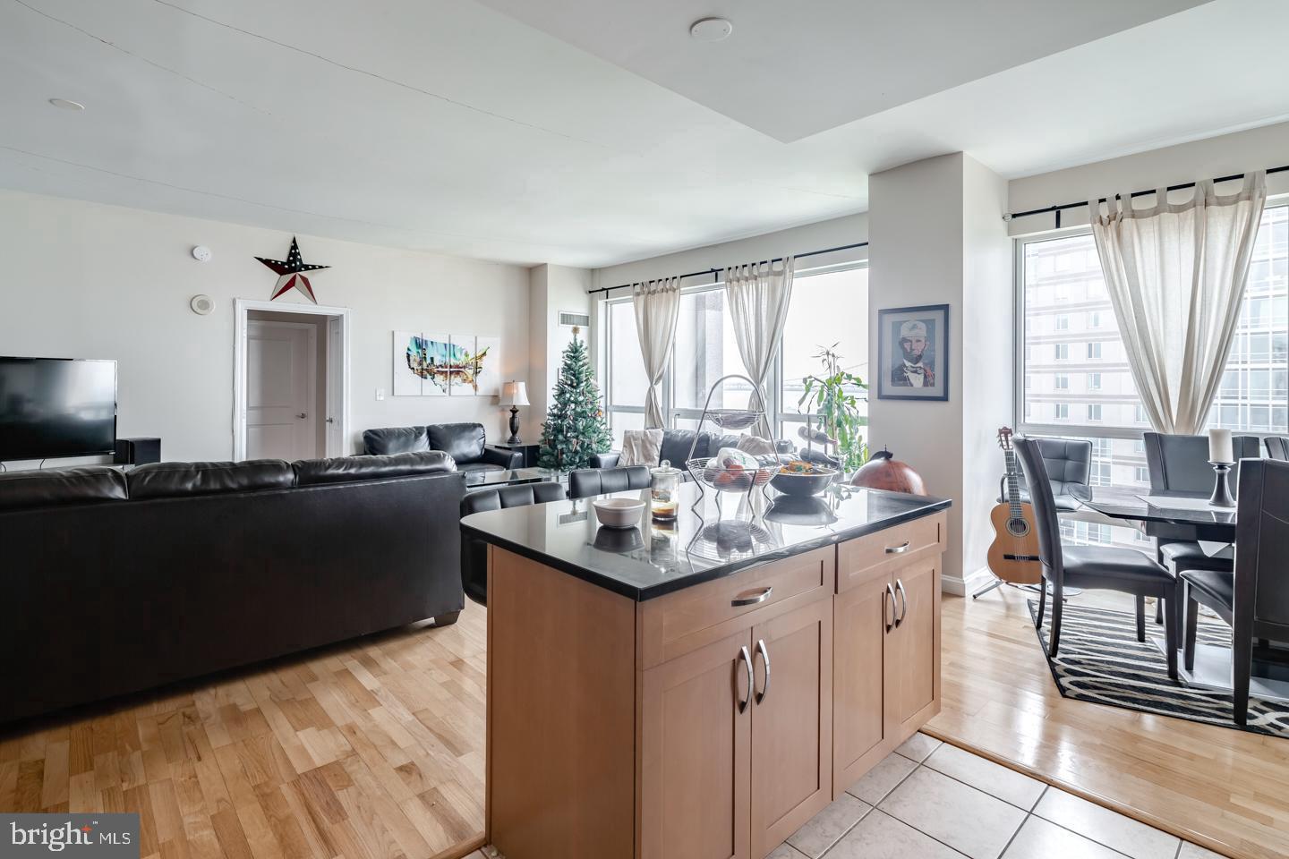 901 North Penn Street, Unit R1304 Philadelphia, PA 19123 - Photo 6 of 20 Gallery Image 6