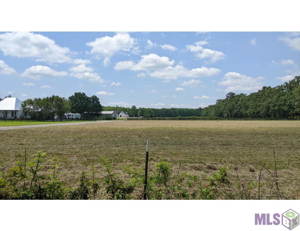 0 Butch Gore Road St. Amant, LA 70774 - Photo 3 of 5 Gallery Image 3
