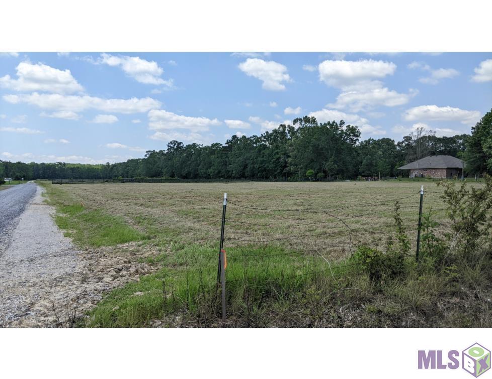 0 Butch Gore Road St. Amant, LA 70774 - Photo 4 of 5 Gallery Image 4