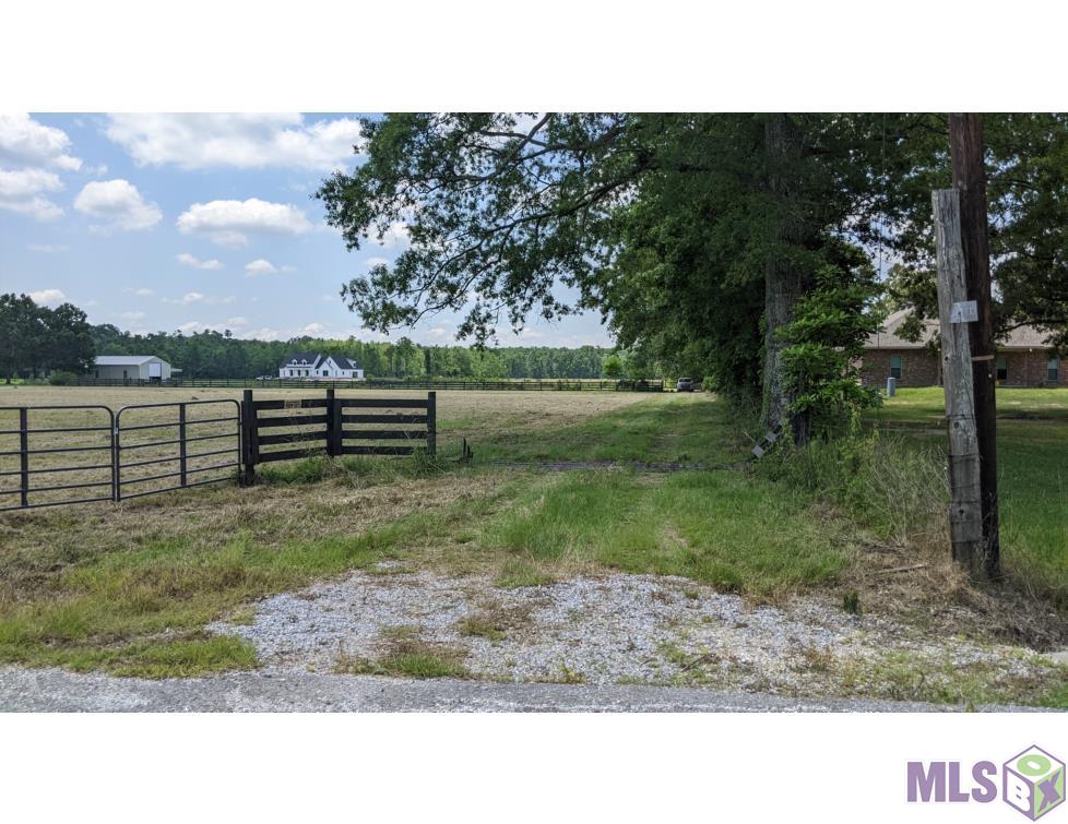 0 Butch Gore Road St. Amant, LA 70774 - Photo 5 of 5 Gallery Image 5