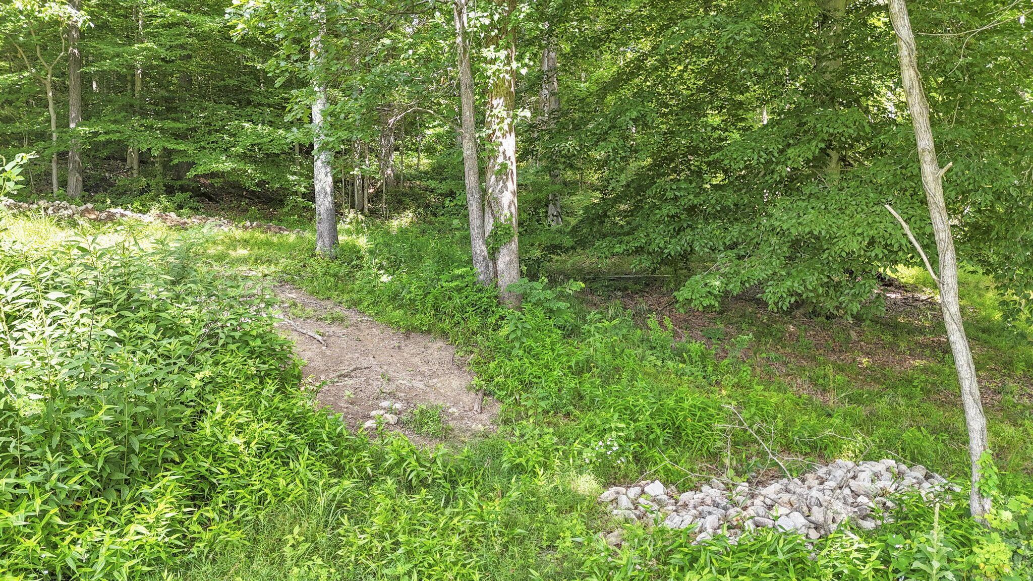 1071 Lake Katharine Road Jackson, OH 45640 - Photo 69 of 84 73-web-or-mls-DJI_20260702105805_0050_D