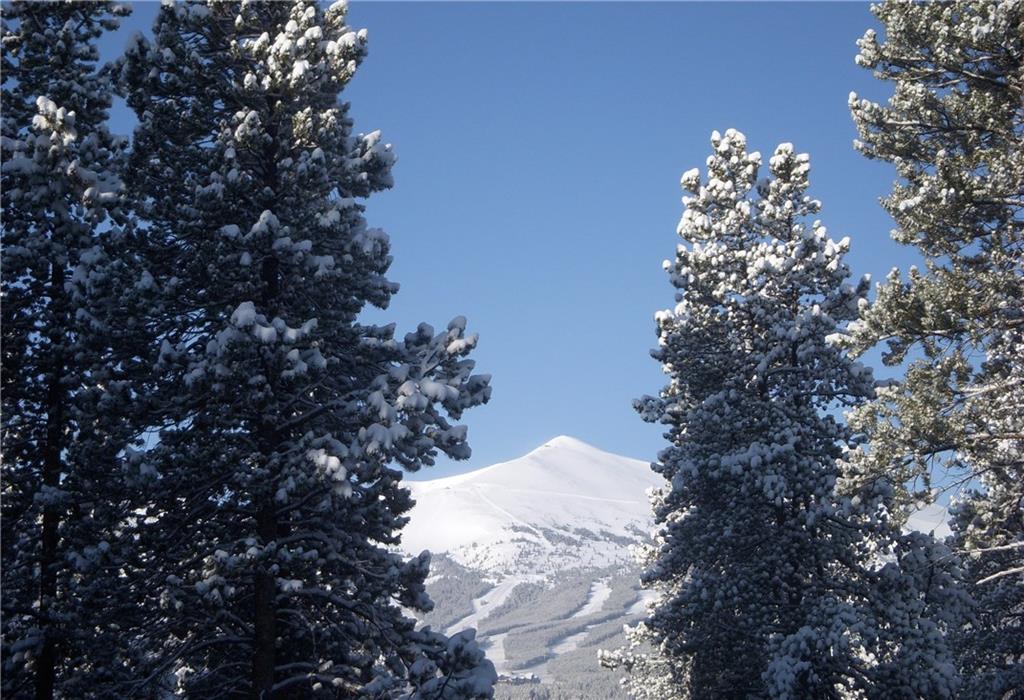 29 Rounds Road Breckenridge, CO 80424 - Photo 31 of 35 a view of a tree in middle of the tree