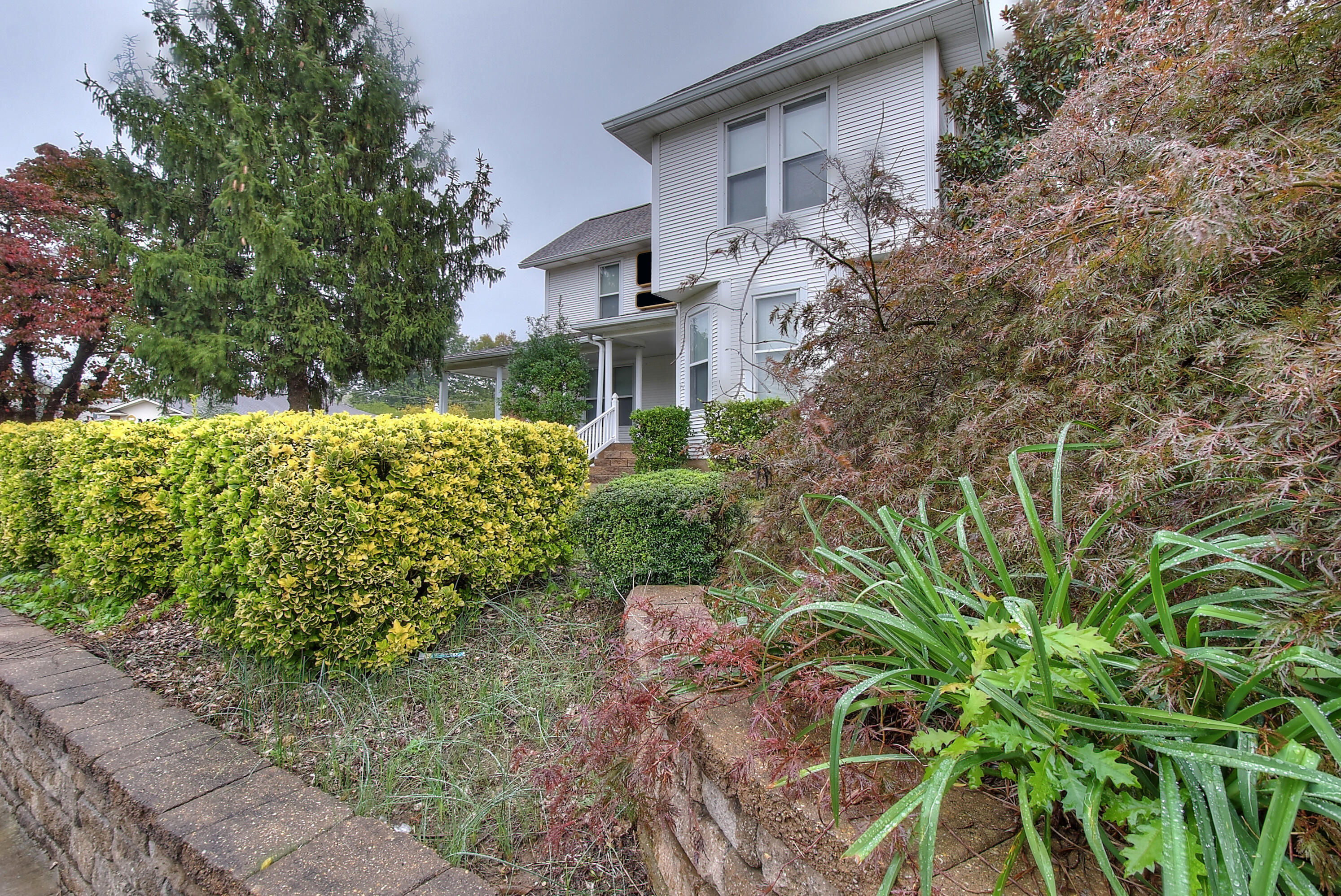 206 2nd Street Erwin, TN 37650 - Photo 4 of 48 4