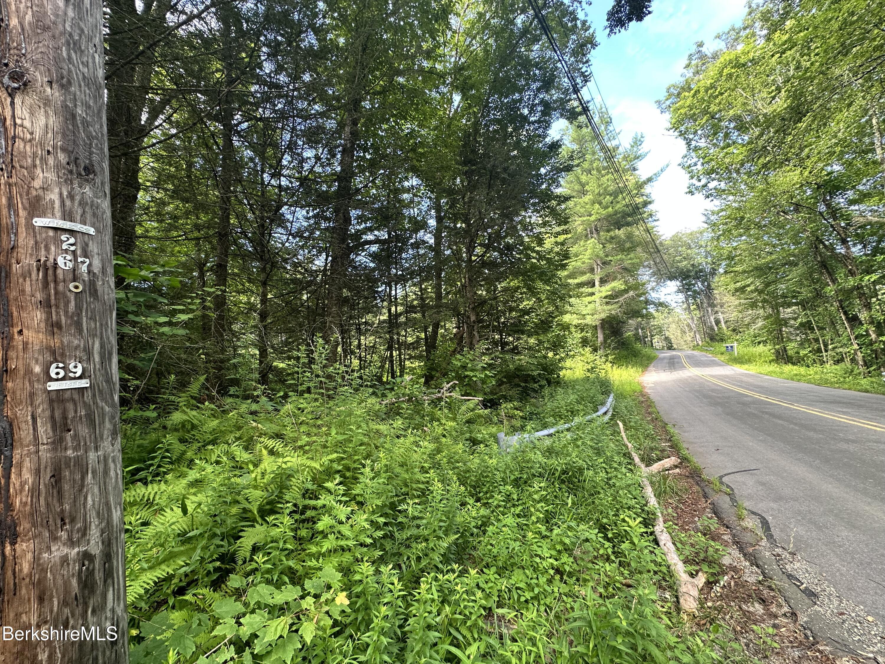 1282 Burt Hill Road Tolland, MA 01034 - Photo 4 of 9 a view of a yard with plants and large trees