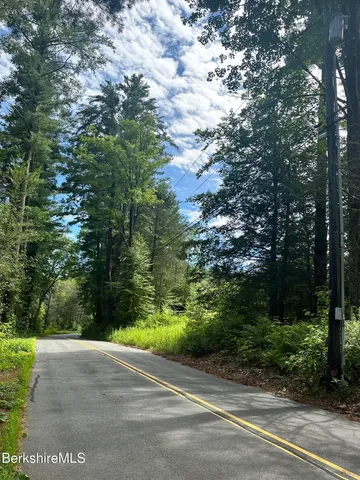 a view of a yard with plants and trees