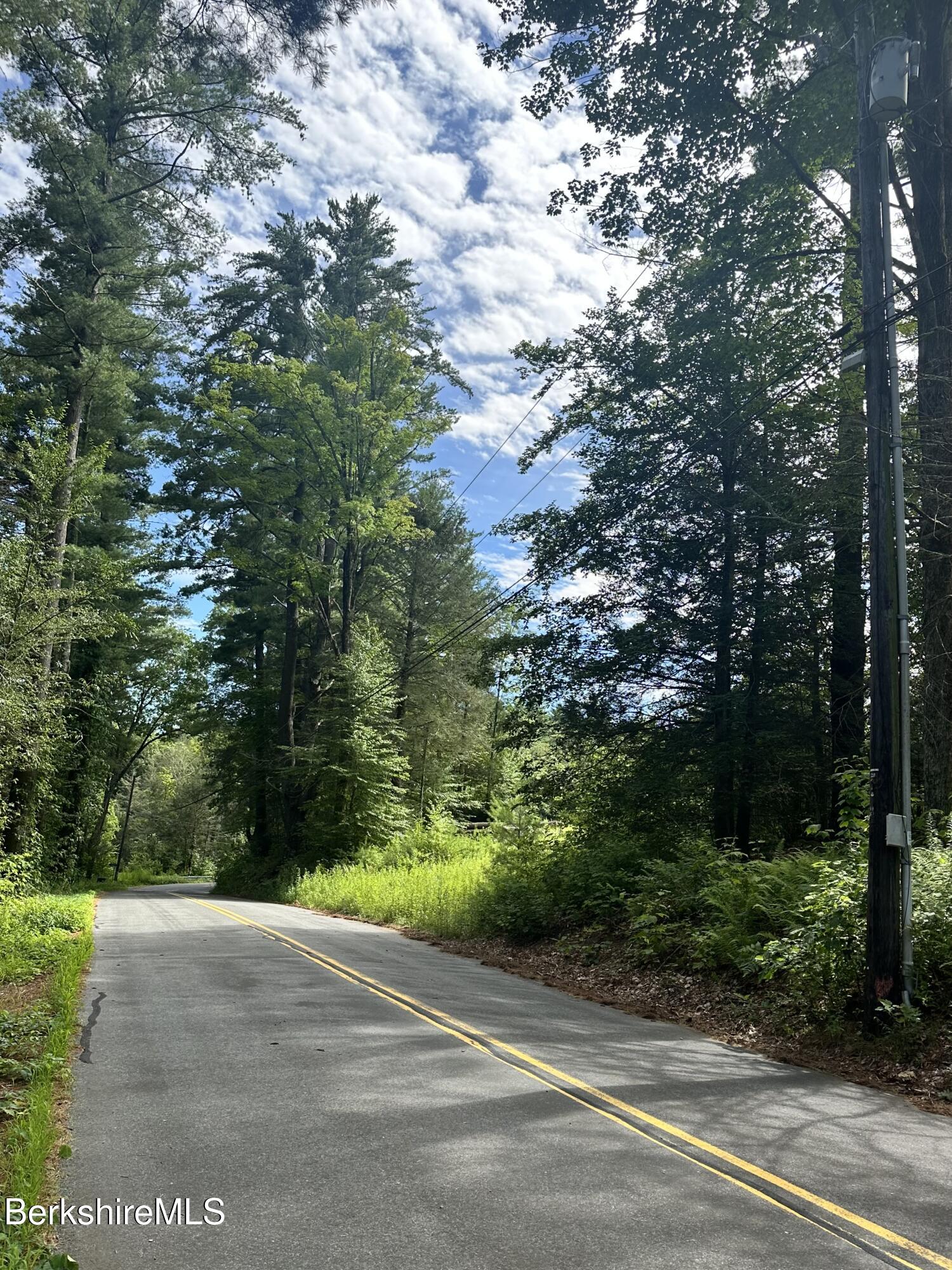 1282 Burt Hill Road Tolland, MA 01034 - Photo 7 of 9 a view of a yard with plants and trees