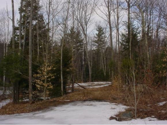 Valley Road Alton Bay, NH 03810 - Photo 1 of 1 Gallery Image 1