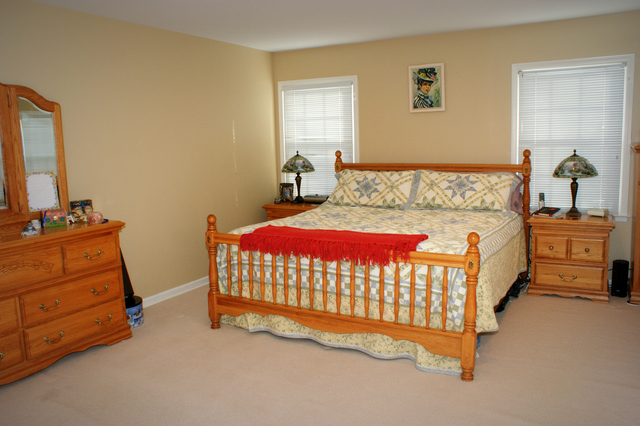 5N565 Billy Burns Road Wayne, IL 60184 - Photo 13 of 25 a bedroom with a bed and a night stand in it