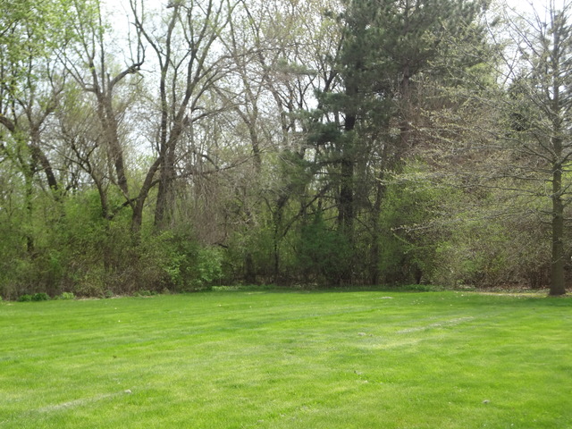 5N565 Billy Burns Road Wayne, IL 60184 - Photo 22 of 25 a view of a yard