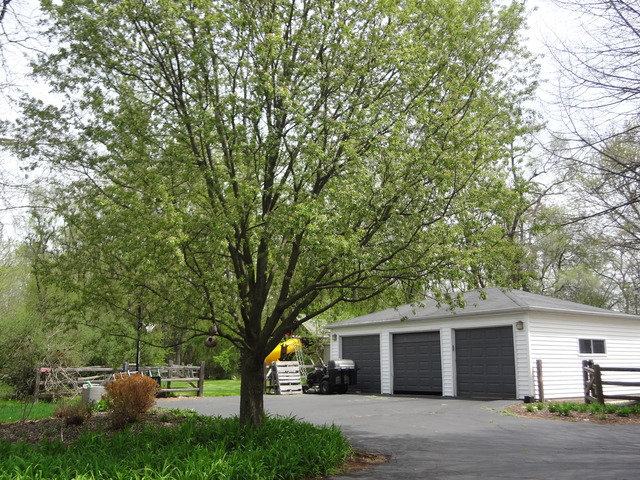 5N565 Billy Burns Road Wayne, IL 60184 - Photo 25 of 25 a view of house with outdoor space and trees