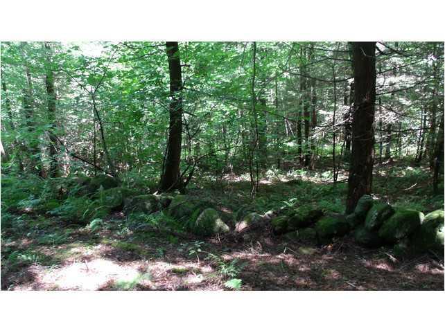 Tbd Macomber Hill Road Jay, ME 04239 - Photo 22 of 26 Land/Lot.