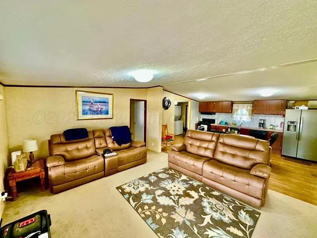 a living room with furniture and a rug