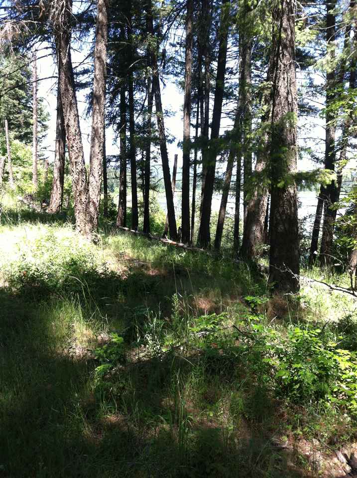 41502 North Perry Road Deer Park, WA 99006 - Photo 1 of 4 Gallery Image 1