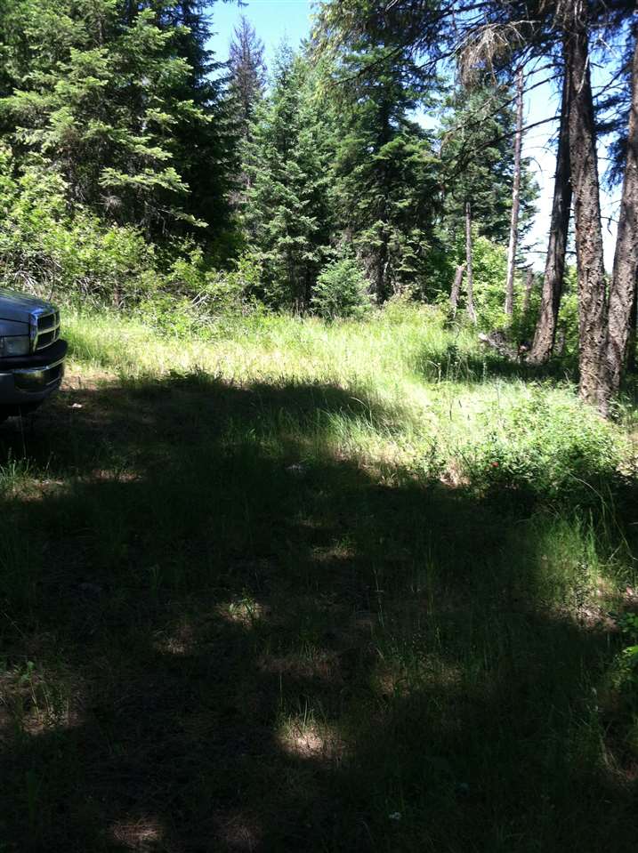 41502 North Perry Road Deer Park, WA 99006 - Photo 2 of 4 Gallery Image 2