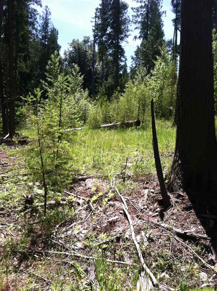 41502 North Perry Road Deer Park, WA 99006 - Photo 4 of 4 Gallery Image 4