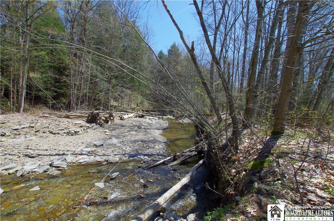 3588 Dutch Hollow Road Ellery, NY 14701 - Photo 10 of 33