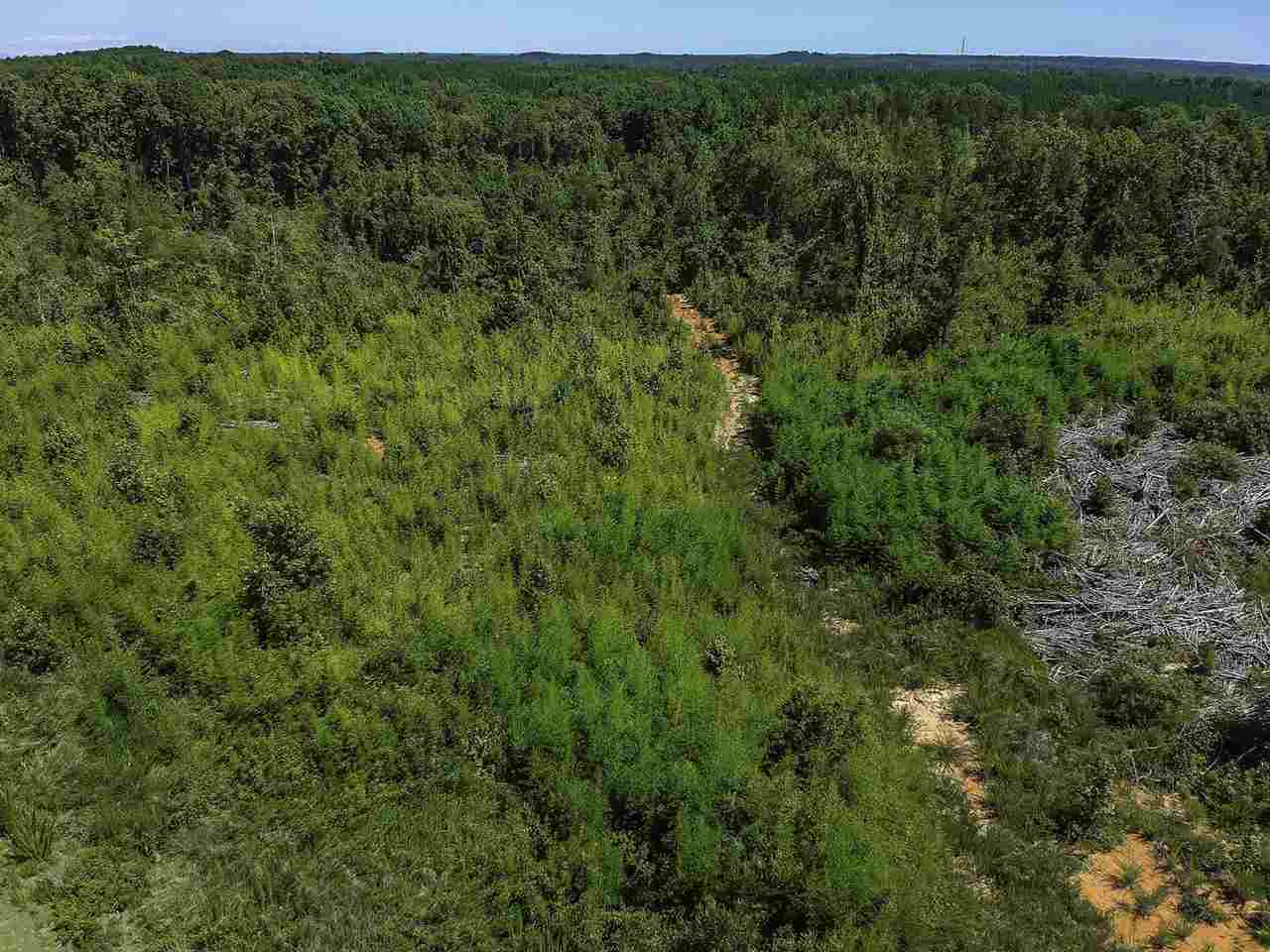 0 Roddy Road Woodruff, SC 29388 - Photo 11 of 17