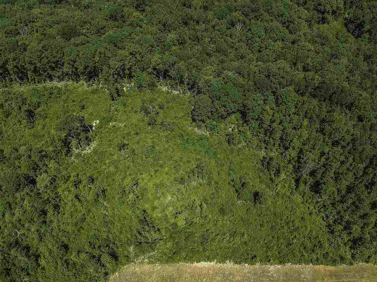 0 Roddy Road Woodruff, SC 29388 - Photo 12 of 17