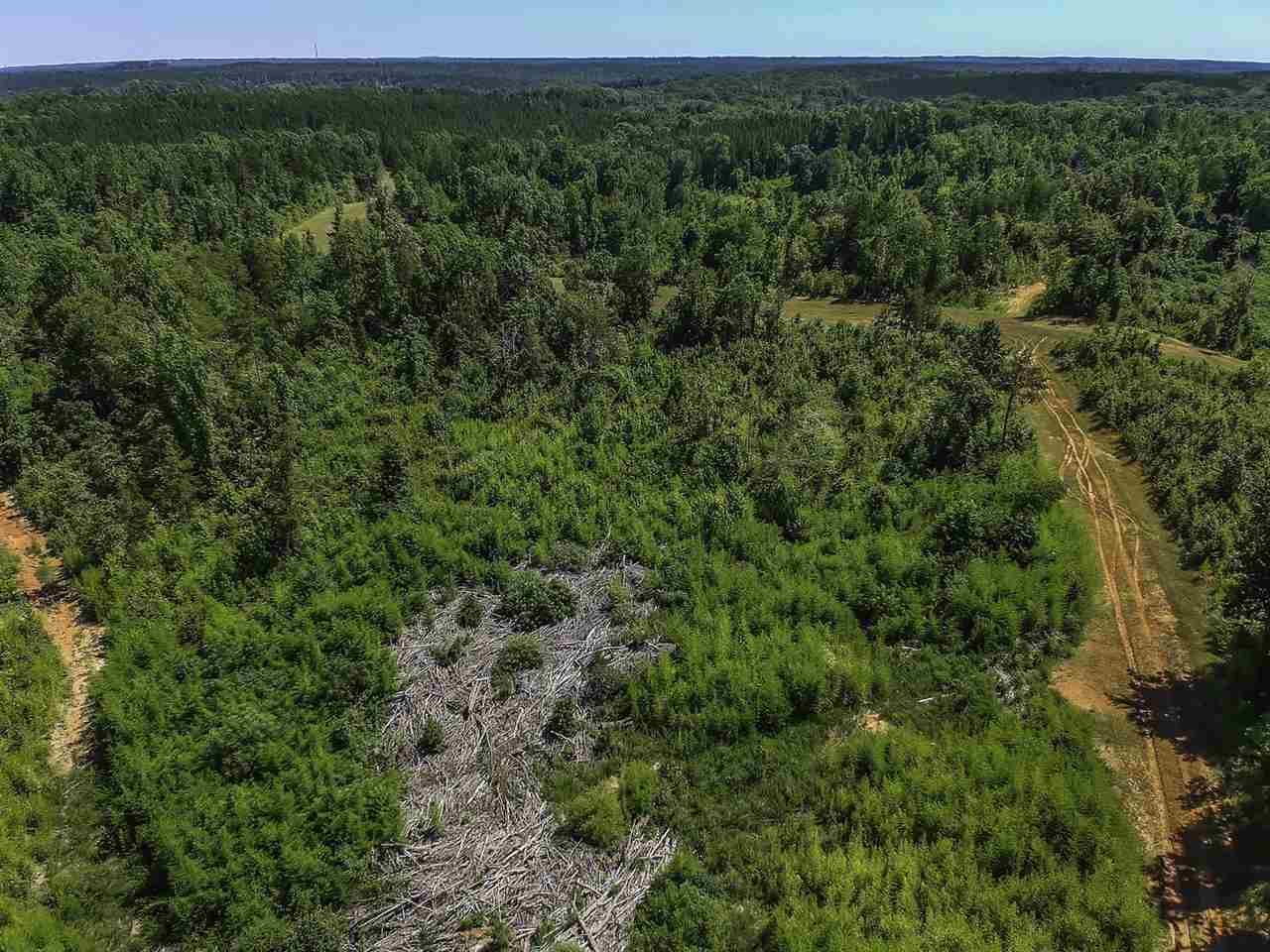 0 Roddy Road Woodruff, SC 29388 - Photo 16 of 17