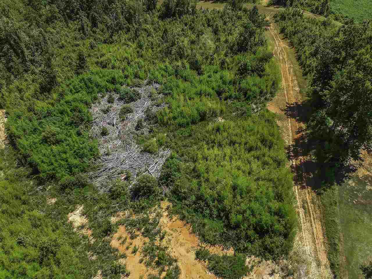 0 Roddy Road Woodruff, SC 29388 - Photo 17 of 17