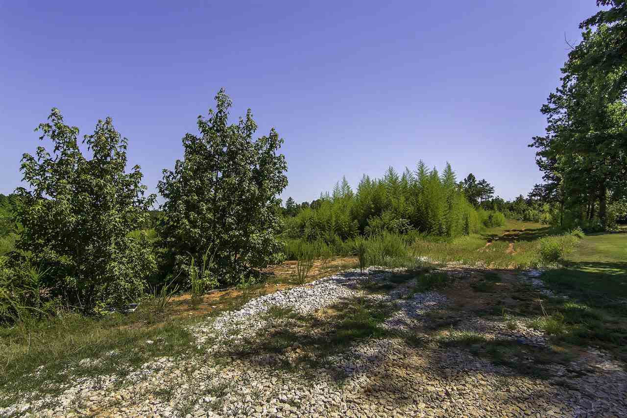 0 Roddy Road Woodruff, SC 29388 - Photo 3 of 16