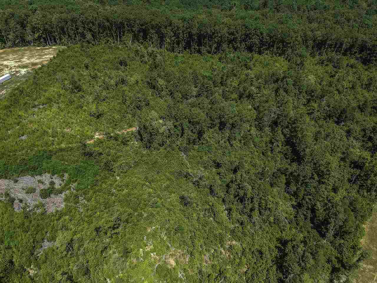 0 Roddy Road Woodruff, SC 29388 - Photo 7 of 17