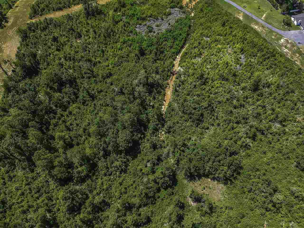 0 Roddy Road Woodruff, SC 29388 - Photo 9 of 16